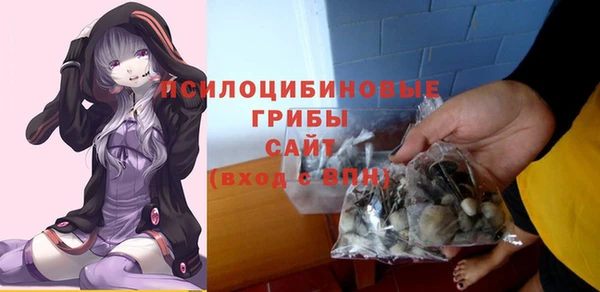 прущий лед Арсеньев