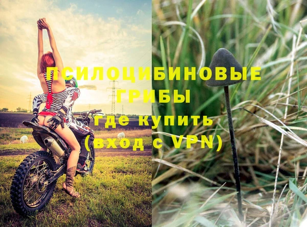 прущий лед Арсеньев