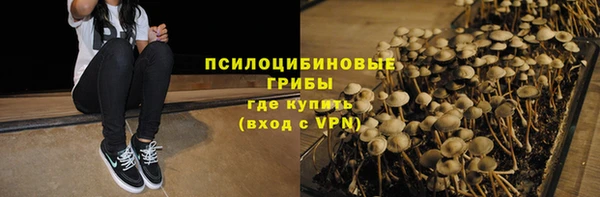 бошки Армянск