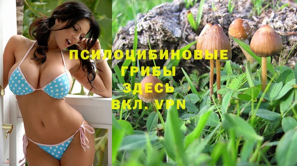 прущий лед Арсеньев