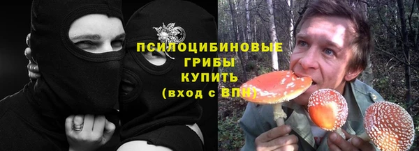 apvp Аркадак