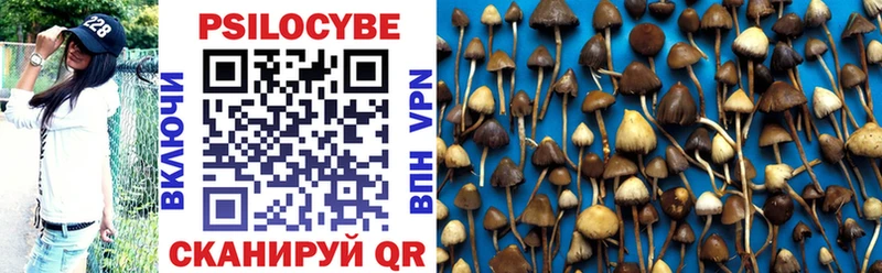 продажа наркотиков  сайты даркнета состав  Псилоцибиновые грибы MAGIC MUSHROOMS  Нововоронеж 